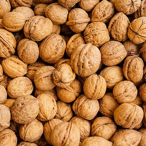 Cold-Pressed Walnut Oil from India – Pure & Organic